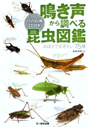 鳴き声から調べる昆虫図鑑おぼえておきたい75種