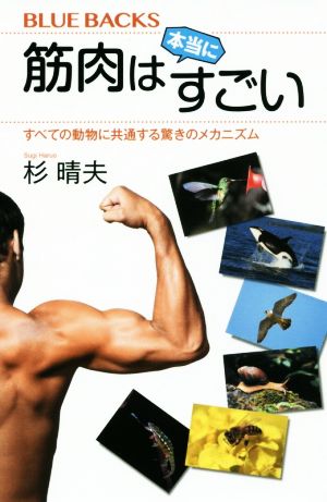 筋肉は本当にすごい すべての動物に共通する驚きのメカニズム ブルーバックス