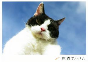 旅猫アルバム「旅猫リポート」公式写真集