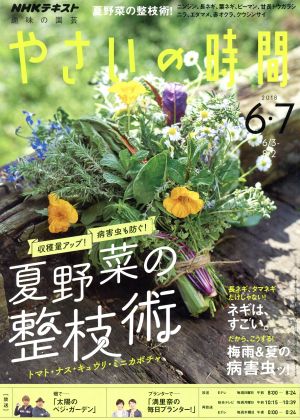 NHK 趣味の園芸 やさいの時間(2018 6・7) 隔月刊誌