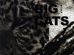 BIG CATS