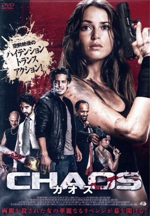 CHAOS カオス