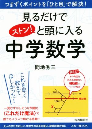 見るだけでストン！と頭に入る中学数学 つまずくポイントを「ひと目」で解決！