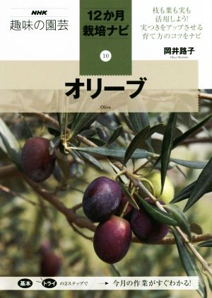 趣味の園芸 オリーブ 枝も葉も実も活用しよう！実つきをアップさせる育て方のコツをナビ NHK趣味の園芸 12か月栽培ナビ10