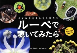 小さな生き物たちの世界をルーペで覗いてみたら momobook