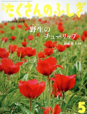 月刊たくさんのふしぎ(5 2017年5月号) 月刊誌