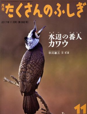 月刊たくさんのふしぎ(11 2017年11月号) 月刊誌