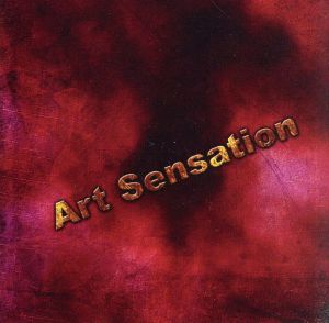 Art Sensation