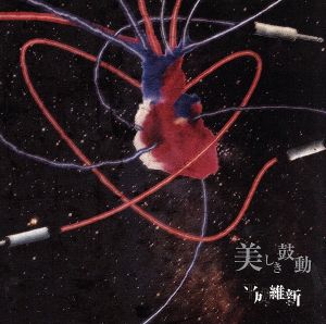 美しき鼓動(DVD付完全限定盤)