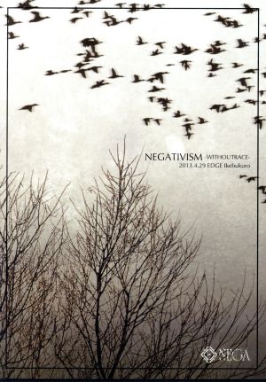 NEGATIVISM-WITHOUTRACE-