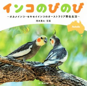 インコのびのび オカメインコ・セキセイインコのオーストラリア野生生活