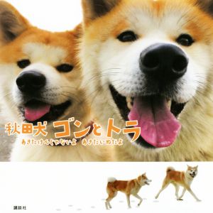 秋田犬ゴンとトラ あきたけんじゃないよあきたいぬだよ