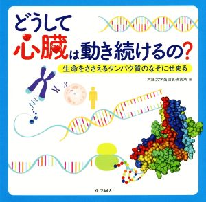 どうして心臓は動き続けるの？ 生命をささえるタンパク質のなぞにせまる