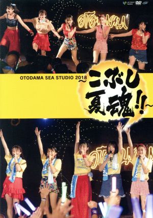 OTODAMA SEA STUDIO 2018 ～こぶし夏魂!!～