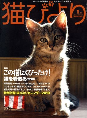 猫びより(No.103 2019年1月号) 隔月刊誌