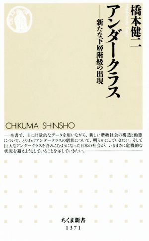 アンダークラス 新たな下層階級の出現 ちくま新書1371