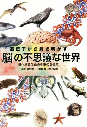 遺伝子から解き明かす脳の不思議な世界 進化する生命の中枢の5億年