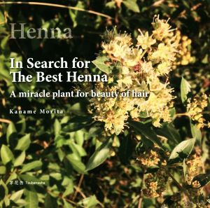 In Search for The BEST Henna A miracle plant for beauty of hair