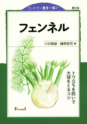 フェンネル トウ立ちを防いで大球をとるコツ 小さい農業で稼ぐ