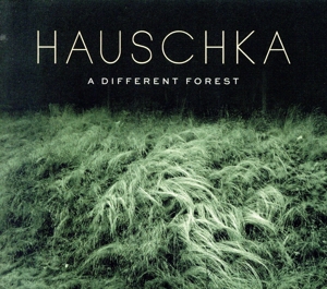 【輸入盤】A Different Forest