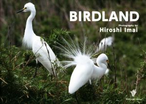 BIRDLAND