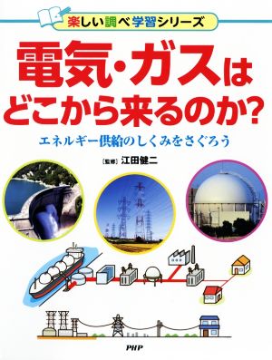 電気・ガスはどこから来るのか？ エネルギー供給のしくみをさぐろう 楽しい調べ学習シリーズ