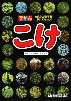 ずかん こけ 見ながら学習 調べてなっとく