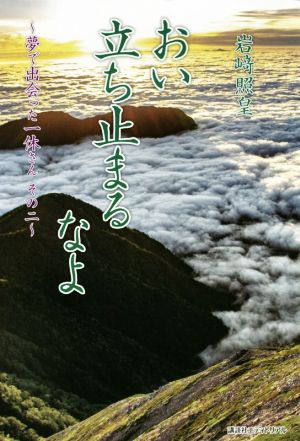 おい立ち止まるなよ 夢で出会った一休さん その二