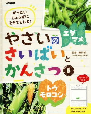 やさいのさいばいとかんさつ(5) ぜったいじょうずにそだてられる！ エダマメ・トウモロコシ