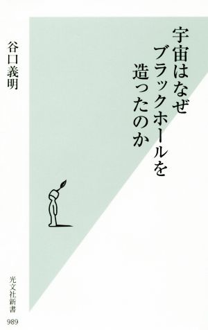 宇宙はなぜブラックホールを造ったのか 光文社新書