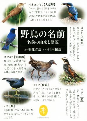 野鳥の名前名前の由来と語源ヤマケイ文庫