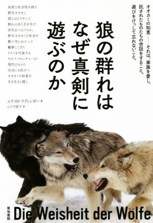 狼の群れはなぜ真剣に遊ぶのか