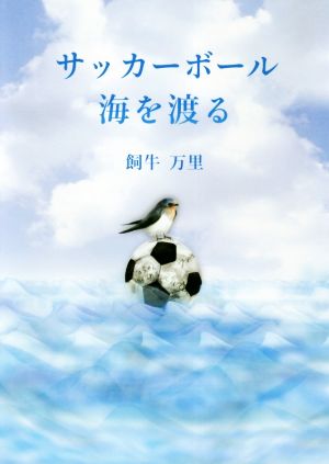 サッカーボール海を渡る