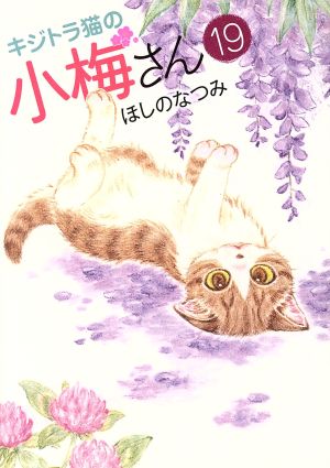 キジトラ猫の小梅さん(19) ねこぱんちC