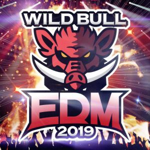 Wild Bull EDM 2019