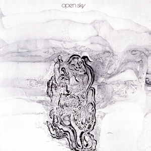 オープン・スカイ