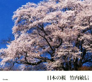 日本の桜