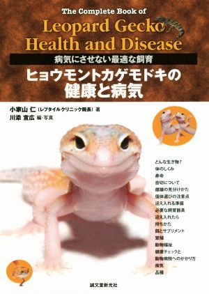 ヒョウモントカゲモドキの健康と病気 病気にさせない最適な飼育