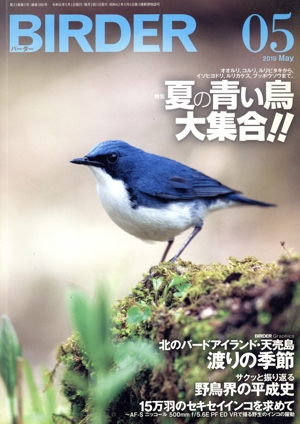 BIRDER(2019年5月号) 月刊誌