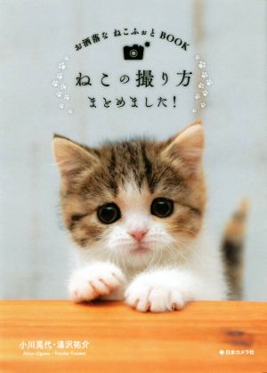 ねこの撮り方まとめました！ お洒落なねこふぉとBOOK