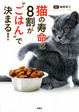 猫の寿命は8割が“ごはん