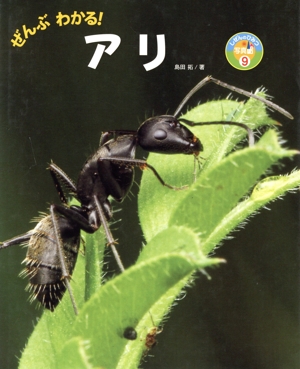ぜんぶわかる！アリ しぜんのひみつ写真館9
