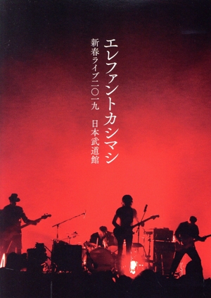 新春ライブ2019日本武道館（Blu-ray初回限定盤） DVD