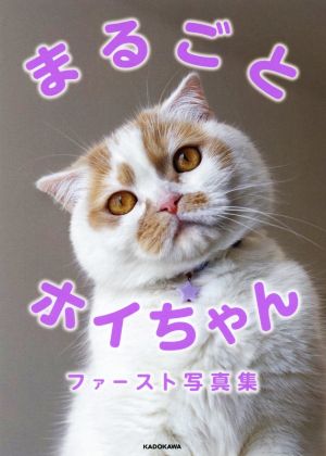 まるごとホイちゃんファースト写真集 「ねこ休み展」スピンオフ公認！