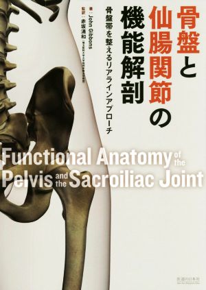 骨盤と仙腸関節の機能解剖