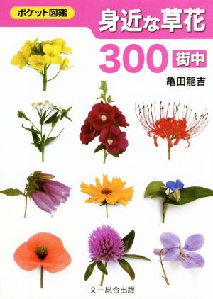 身近な草花300 街中 ポケット図鑑