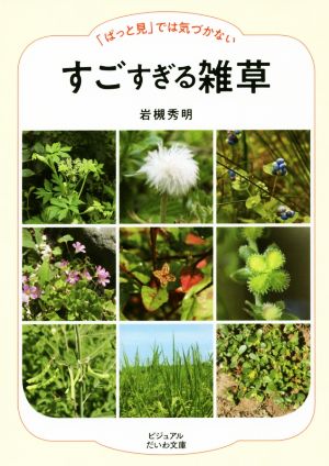 すごすぎる雑草 「ぱっと見」では気づかない ビジュアルだいわ文庫