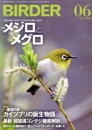 BIRDER(2019年6月号) 月刊誌