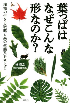 葉っぱはなぜこんな形なのか？ 植物の生きる戦略と森の生態系を考える