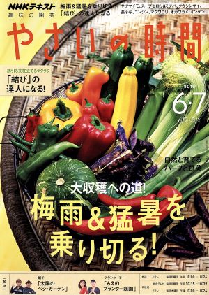 NHK 趣味の園芸 やさいの時間(2019 6・7) 隔月刊誌